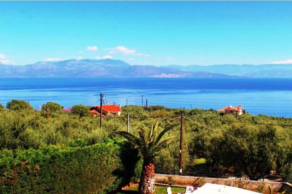 Platanos Estate Villa Akrata Exteriör bild