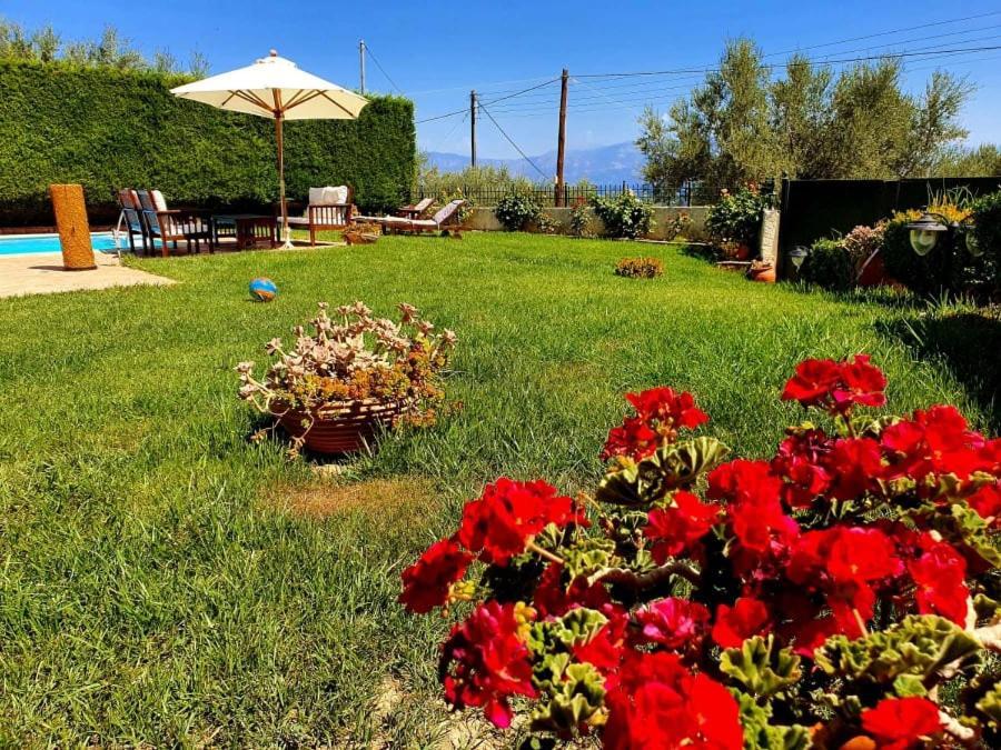 Platanos Estate Villa Akrata Exteriör bild